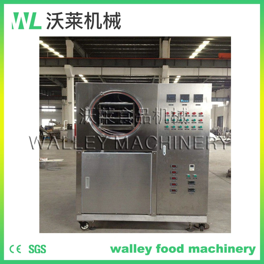 China Carrot Potato Pumpkin Vacuum Freeze Dryer