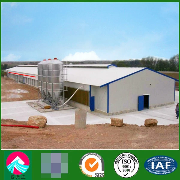 Customized Prefabricated Steel Structure Building Engineered Poultry Farm with CE, CSA&as Certificate High quality/High cost performance 