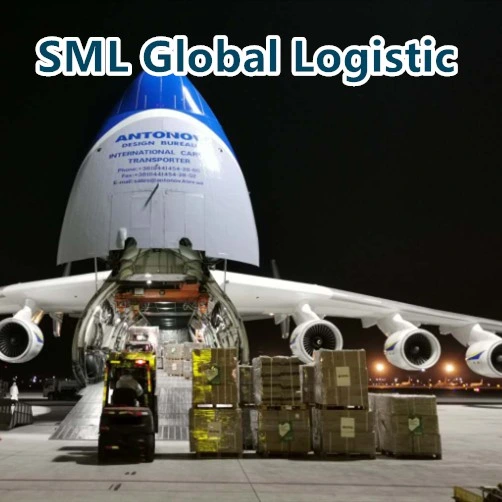 Professional Air Freight Forwarder Cargo Shipping Logistics DHL FedEx TNT UPS Express Courier