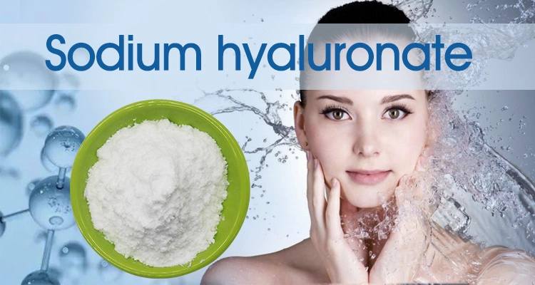 Food / Grade cosmétiques Sodium hyaluronate