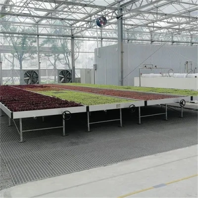 La nueva agricultura inteligente sistema de efecto invernadero Hidroponía Vertical Farm