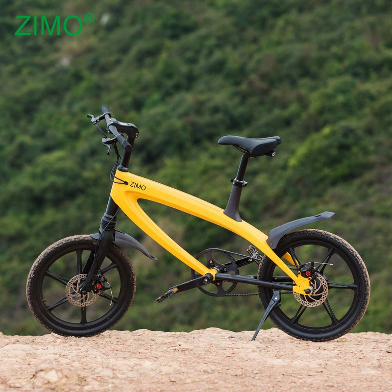 2023 Popular 36V 240W E Ciudad bicicleta Deportes pedal asistencia Bicicleta eléctrica