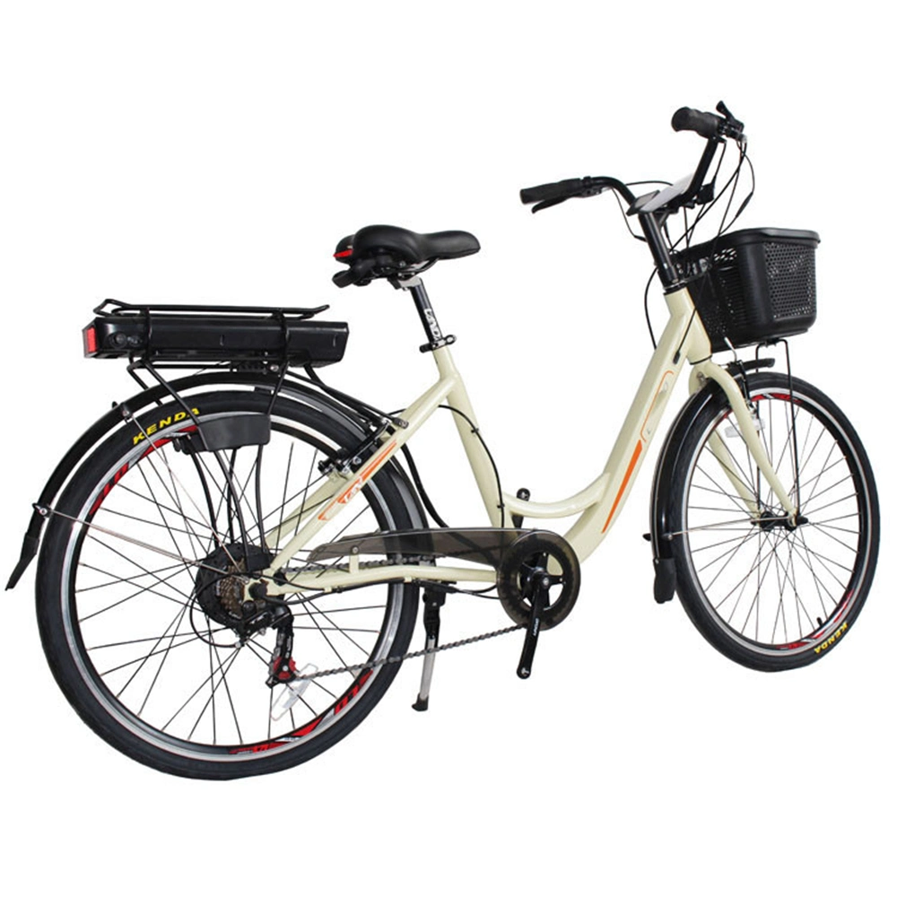 2020 La Chine Hot Sale pleinement ce 48V 24 pouces vélo électrique pour la vente Ebike