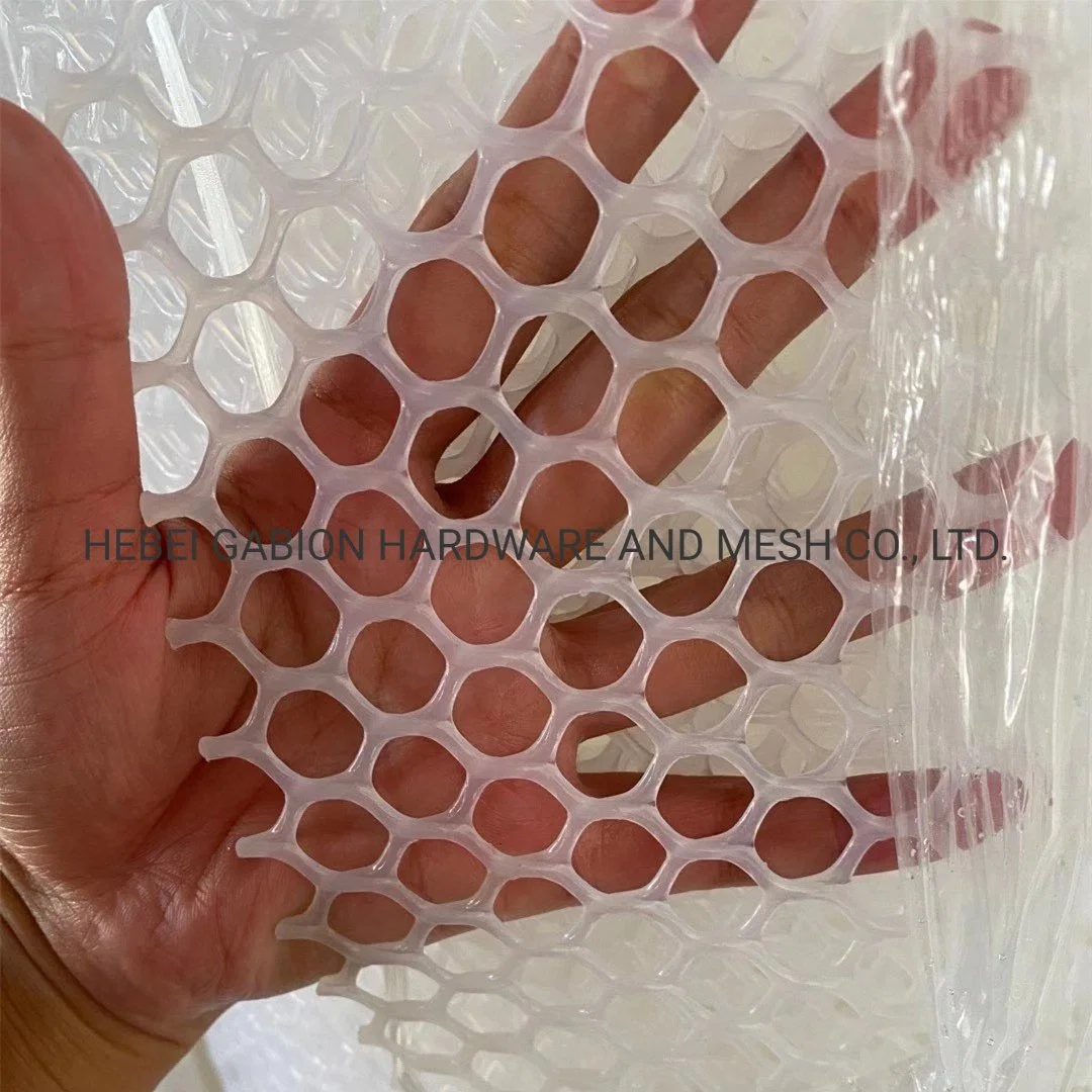 PP and PE Plastic Flat Wire Mesh for Poultry