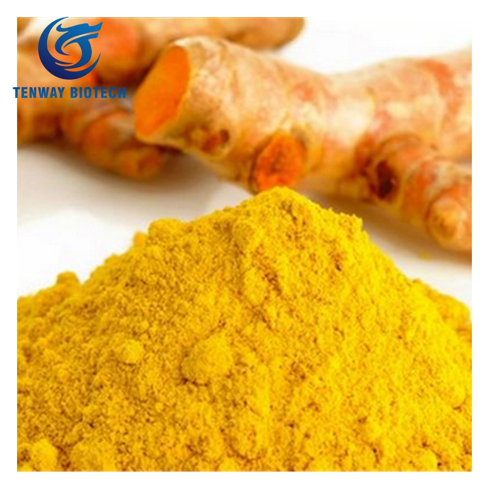 Factory Supply Food Ingredient/Pharmaceutical Chemical Curcumin Turmeric 98% Extract Powder for Health Care Supplement