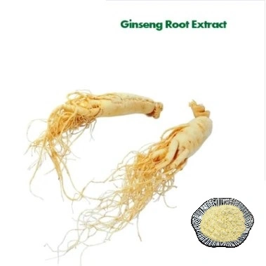 Rendimiento de alta calidad/alto costo de la raíz del Ginseng Extracto 10%-80% de extracto de ginseng Ginsenoside CAS 62025-49-4