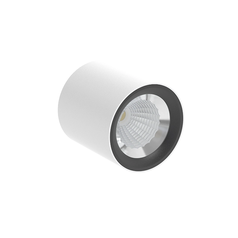 Round Surface Mounted Non Decorative LED Downlight 10W 20W 30W Fixture Cylinder Ceiling Bedroom Light