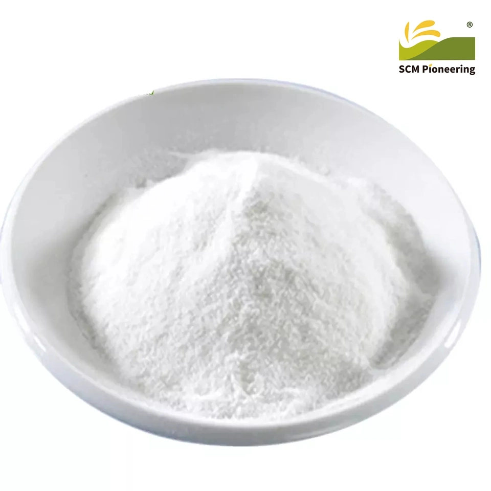 Food Grade Disodium Succinate CAS 150-90-3