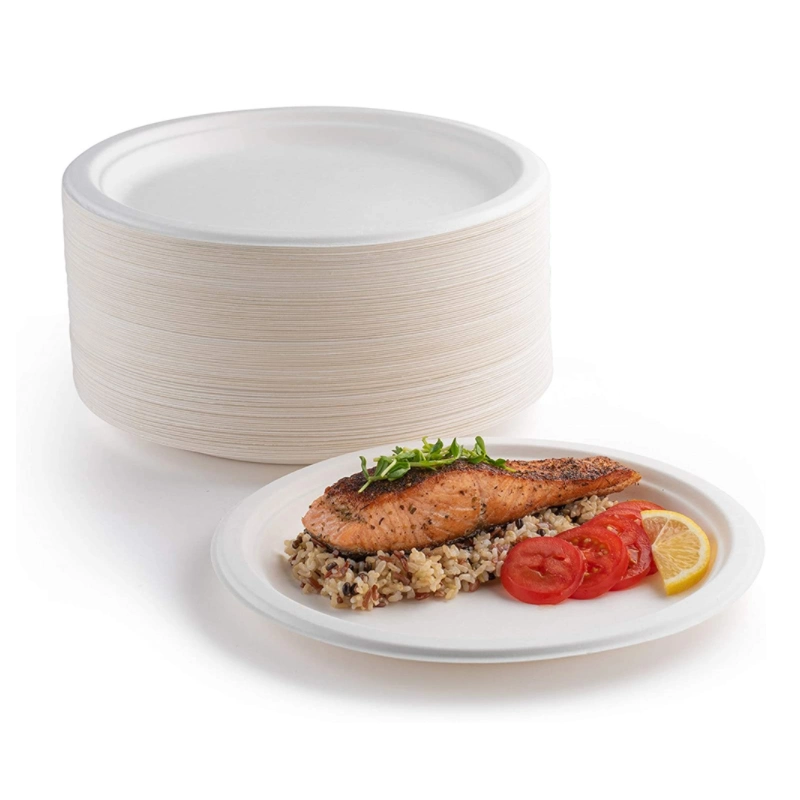 Eco-Friendly 9inch Sugarcane Bagasse Pulp Party Dinner Oil-Proof Food Cake Compostable 3 Compartments Biodegradable Packaging Disposable Paper Plate