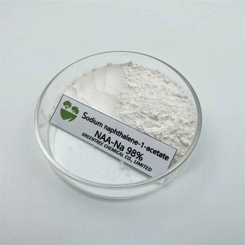 CAS No. 61-31-4 Auxin Alpha Na-Naa Sodium 1-Naphthaleneacetate 98%