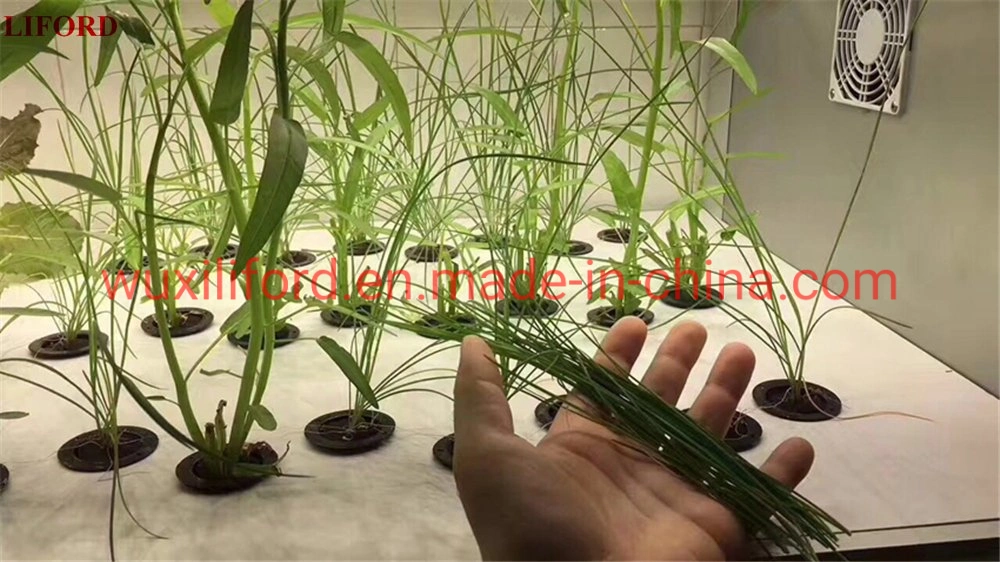 Factory Price Intelligent Home Farming Growing Hydroponics System Indoor Garden