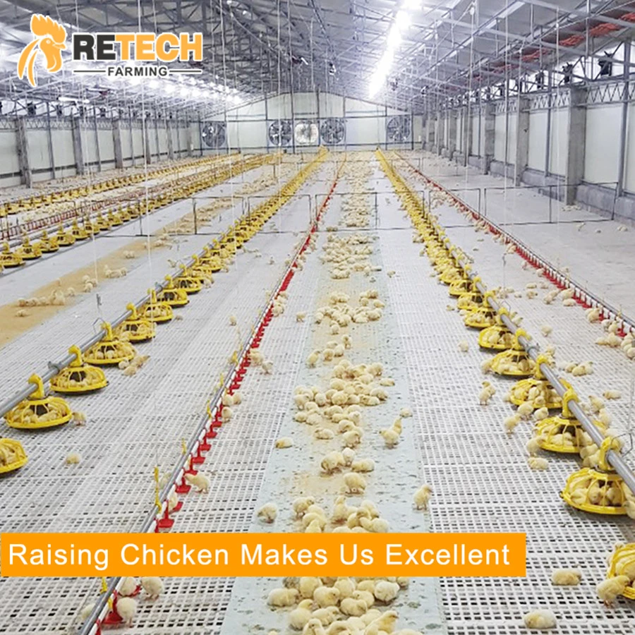 Good Price Automatic Poultry Farm Equipment Broiler Chicken Battery Cage for Sale