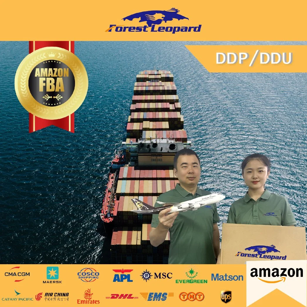 USA Lagertür zu Dor zu Versand durch Amazon Lagerhaus in ca. USA China nach USA Shenzhen Logistics Company DDP Fast Sea