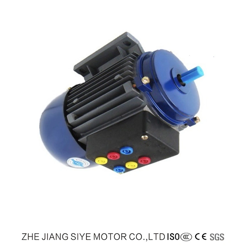 AC Single Phase Stepper Motors