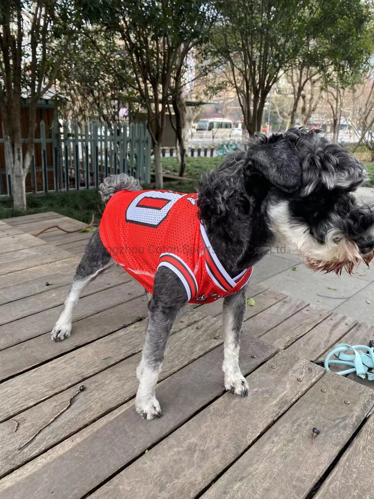 2023 Instagran Hottest Top calidad último Diseño Verano Moda informal Ropa colorida Pet Dog Camiseta de baloncesto ropa de lujo Pet Apparel