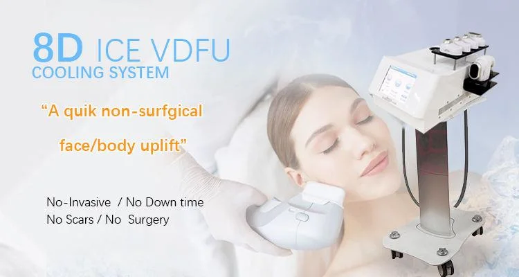 Hifu Vaginal Rejuvenation Ultrasound Machine 3D 4D 5D 6D 7D 8d 9d Skin Care