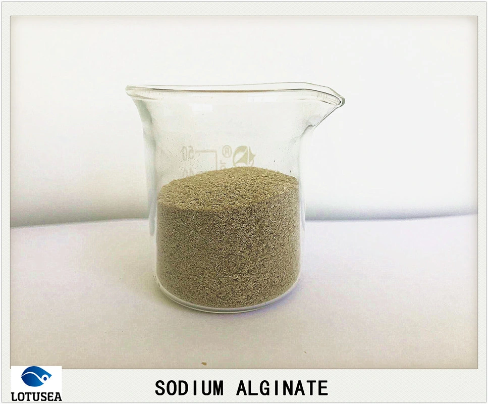 Textile Grade Reactive Dye Sodium Alginate 200cps