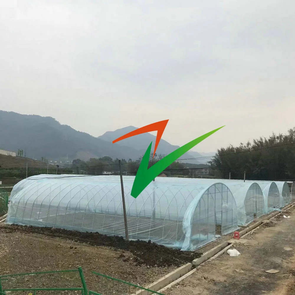 Sola película de Gases de Efecto Túnel de fácil montaje de acero galvanizado en caliente para la Agricultura