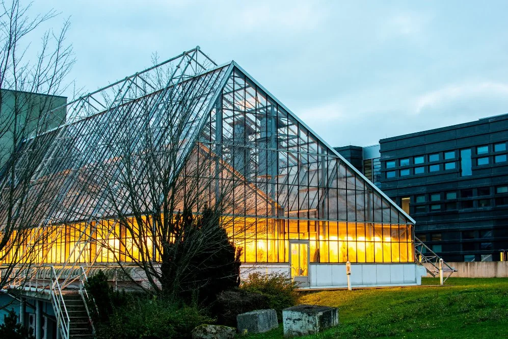 Agricultura moderna Multi-Span invernadero de vidrio a medida con sistema de hidroponía Calefacción Sistema para Verduras Frutas Flores Tomato arándano