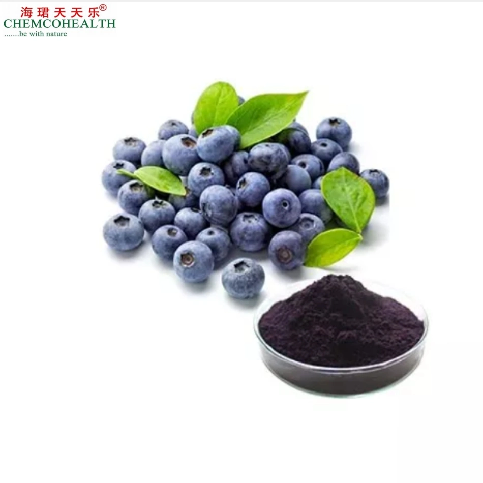 100% Natural Food Grade Rich in Anthocyanins Bilberry Extract