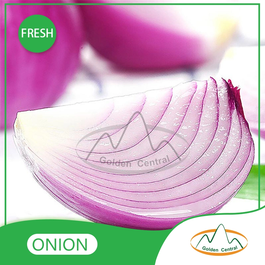 Low Price Fresh Yellow Onion