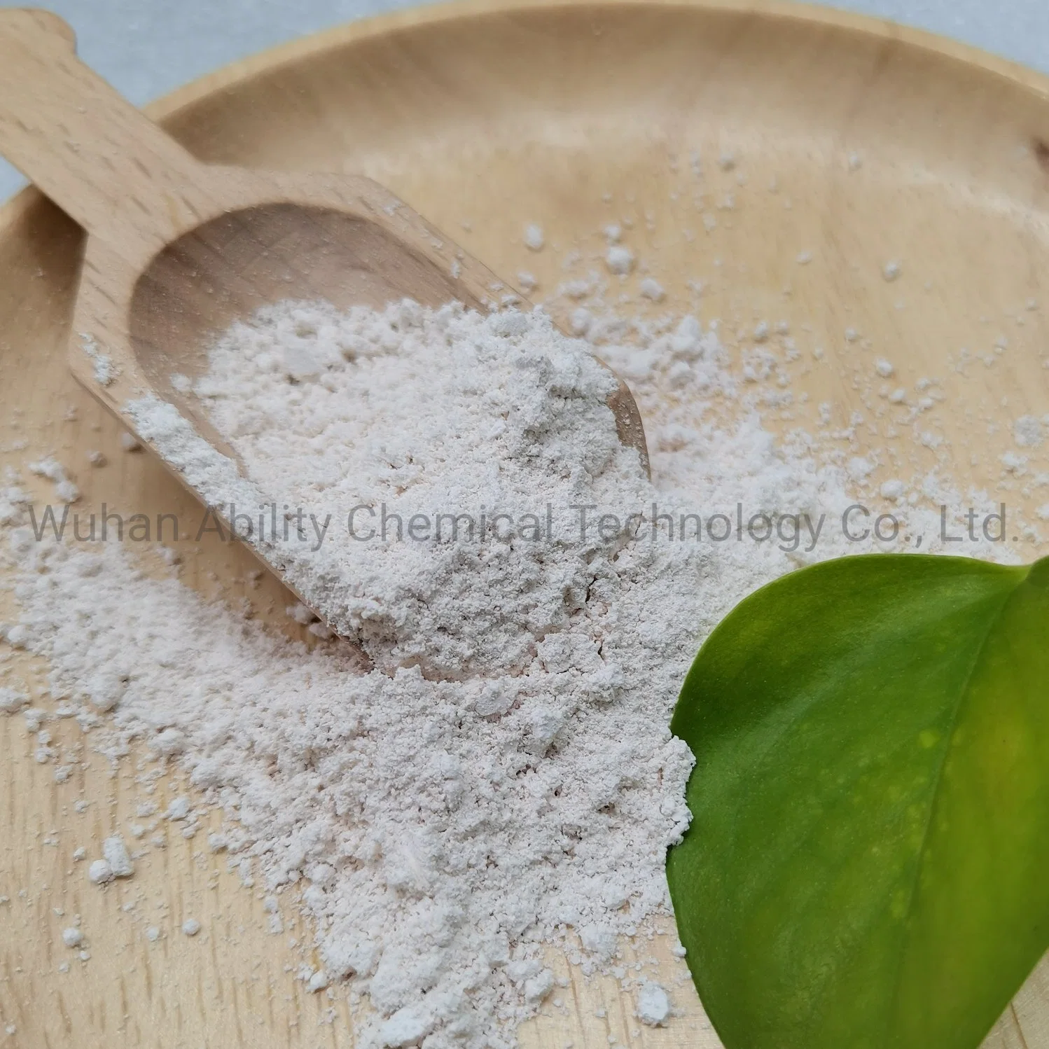 Pharmaceutical Chemicals Isoflavoues Aglycone CAS 486-66-8 Daidzein 98% in Raw Powder