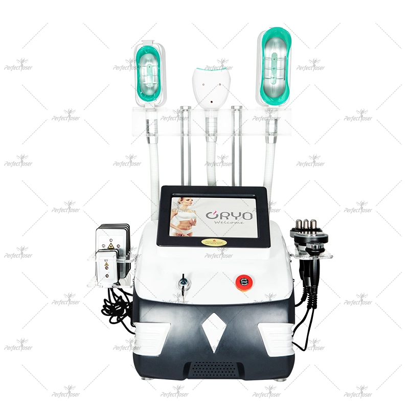 Hot-Selling Lipolysis Freeze Fat Weight Loss Cryolipolysis Slimming Lipolaser Portatil Beauty Equipment