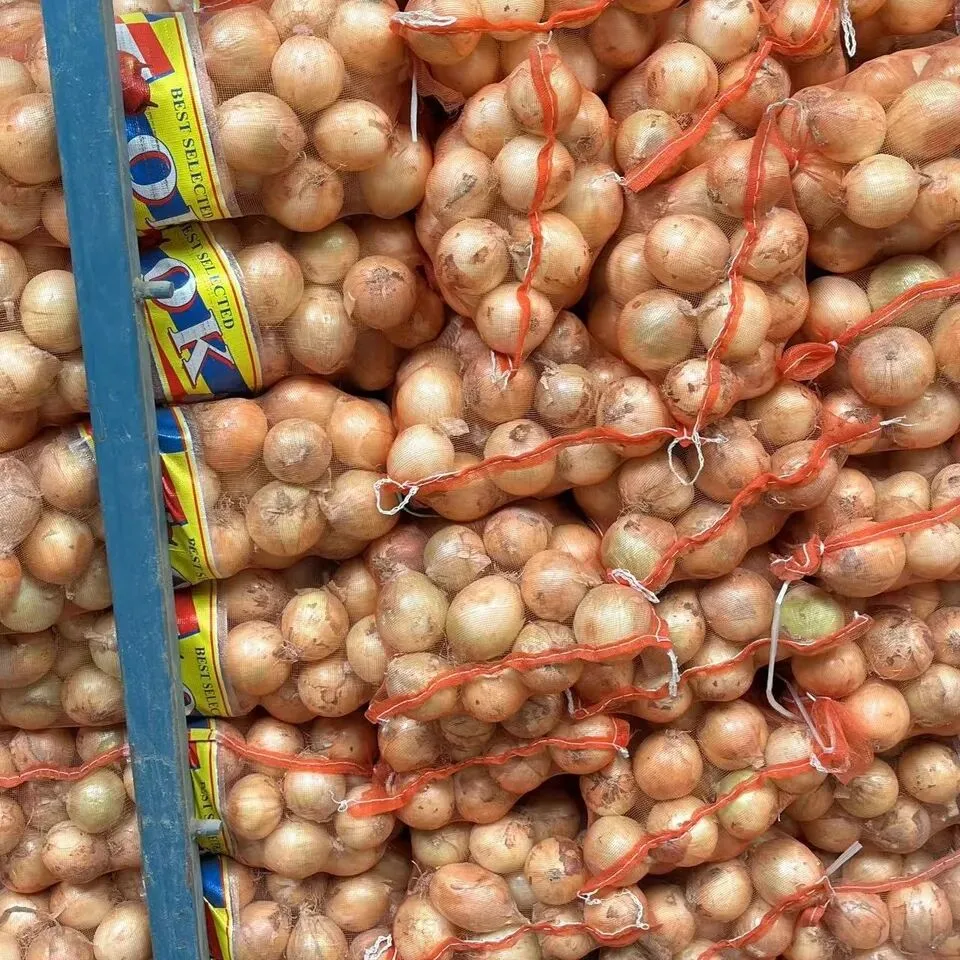 Fresh Yellow Onion/Onions Exporter