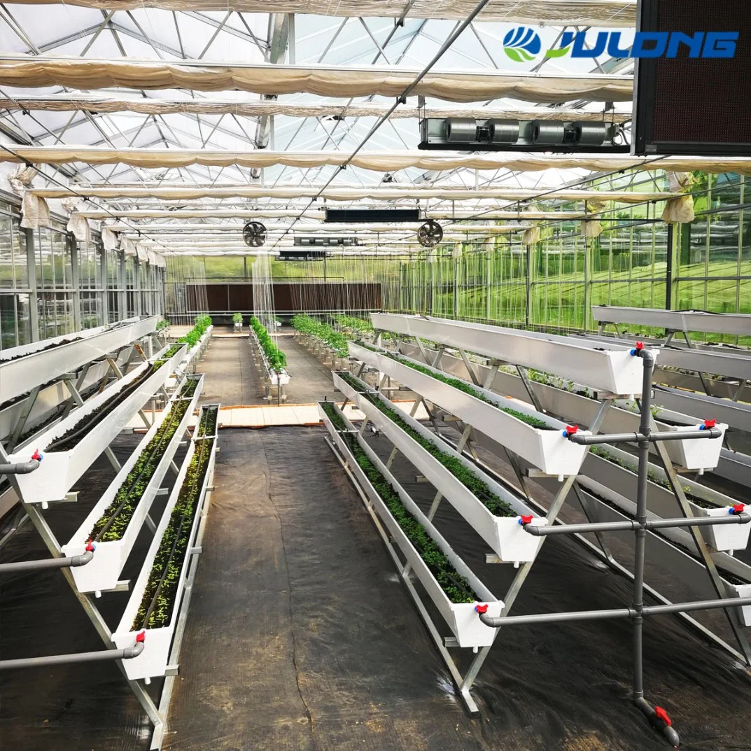 Large Scale Ecological Agricultural Hydroponic Tomato Commercial Glass Greenhouse