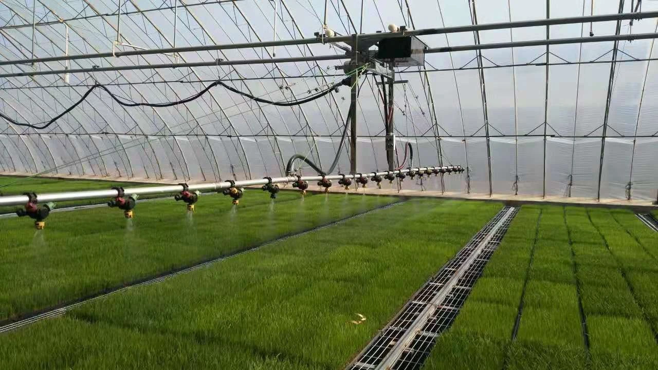 Hot Galvanized Pipe Poly Carbonate Greenhouse with Shading and Automatic Irrigation System