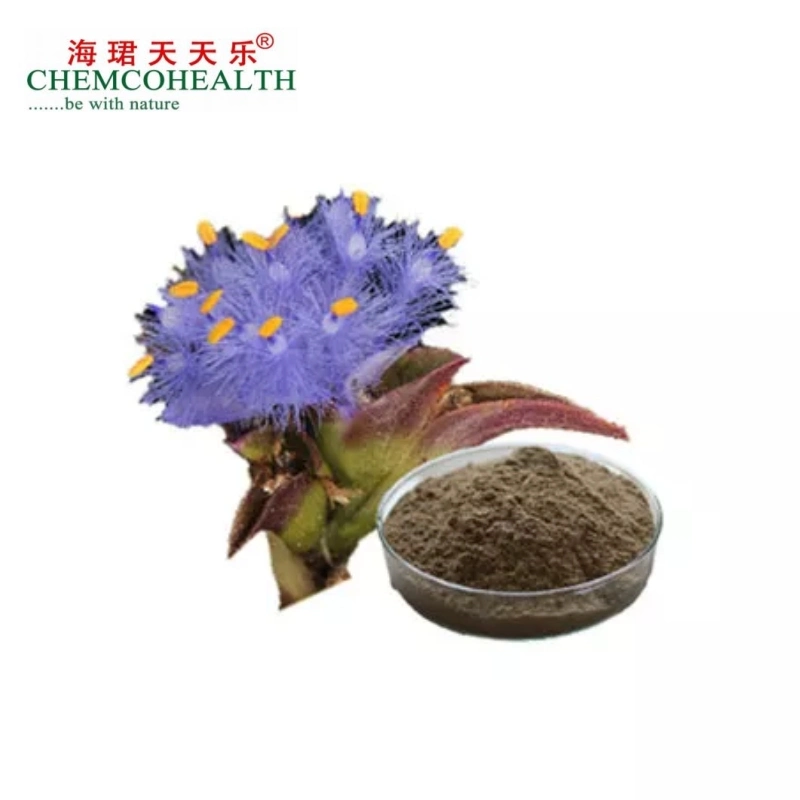 Purely Natural High-Concentration Ecdysterone Cobweb Cyanobacteria Extract