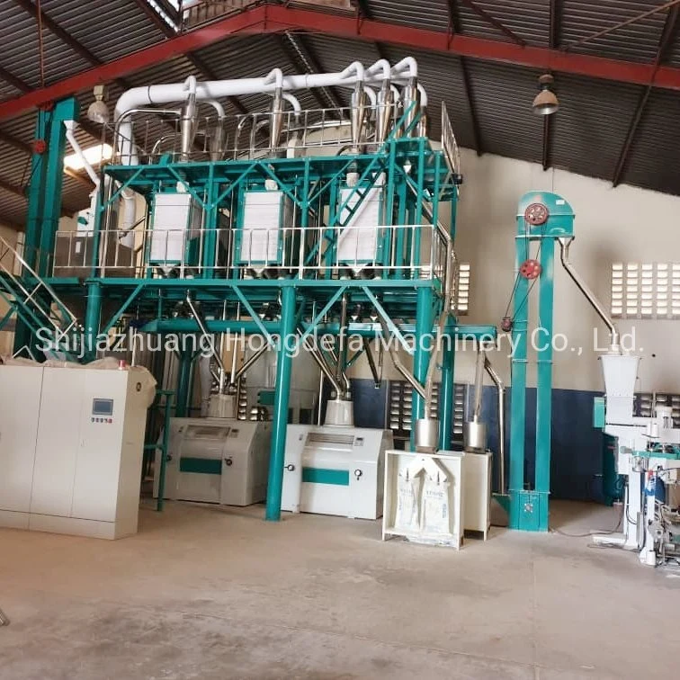 European Standard 50ton Per Day Maize Corn Flour Mill