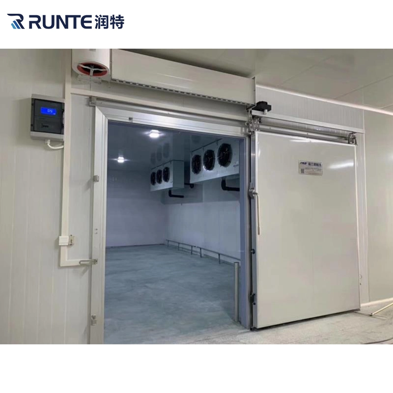 Runte Brand Insulated PU/PIR Panel Stainless Steel Cold Room Hinge/Swing/Sliding/Overhead Door for Refrigeration Warehouse