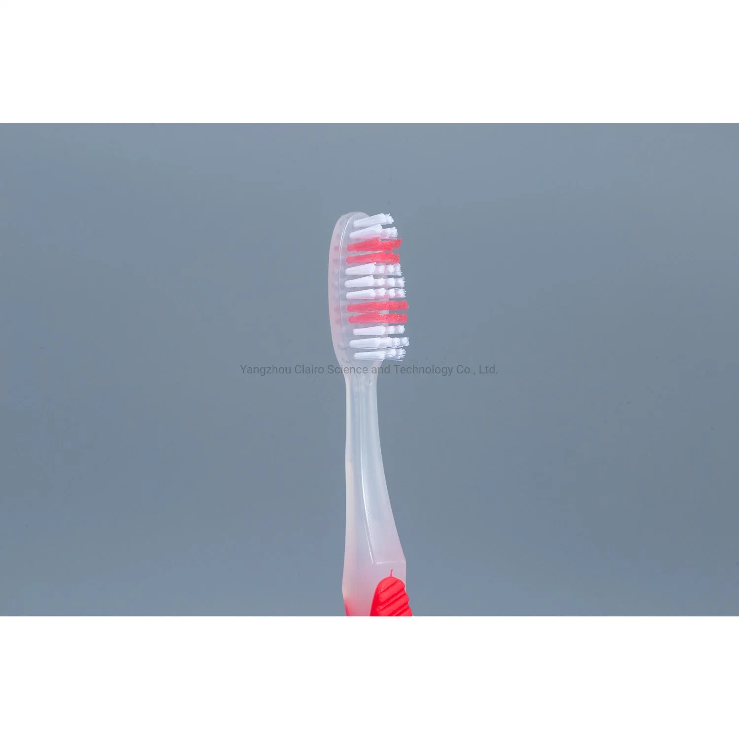 فرشاة أسنان بلاستيكية موافقة إدارة الغذاء والدواء عند التسليم