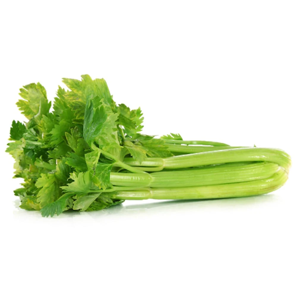 Factory Price Celery Seed Oil Organic Celery Seed Essential Oil at Wholesale/Supplier Price