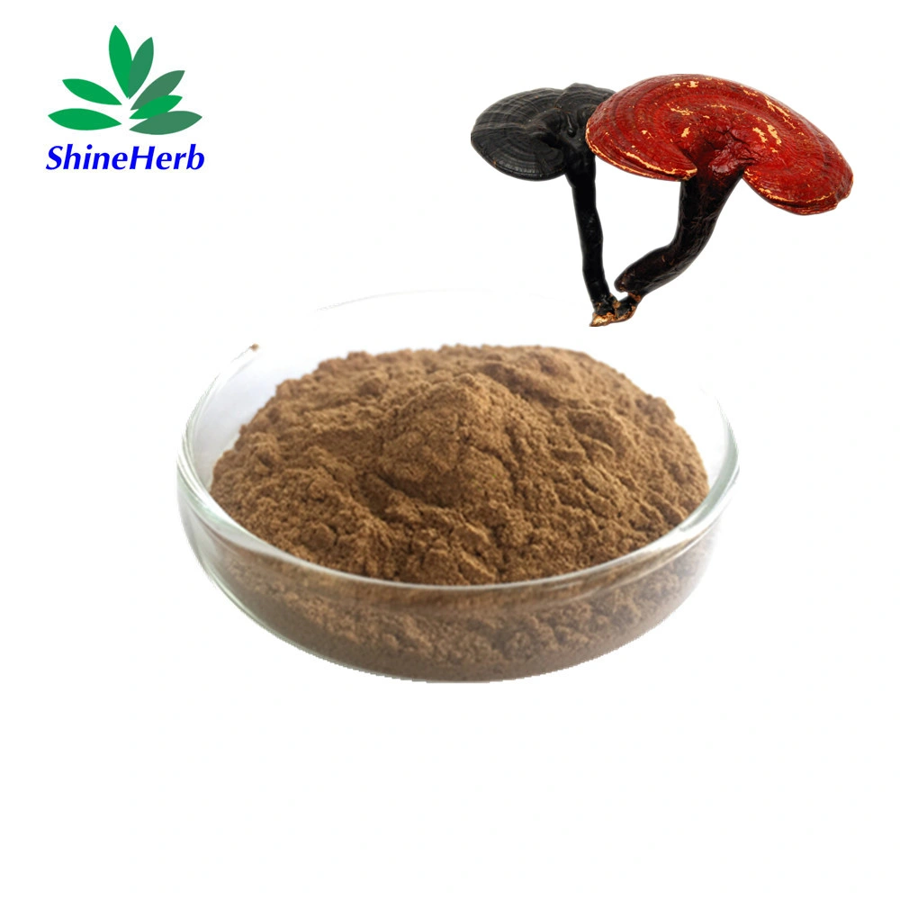 Herbal Extract 10%-50% Reishi Polysaccharide Lingzhi Ganoderma Lucidum Extract Powder Reishi Mushroom