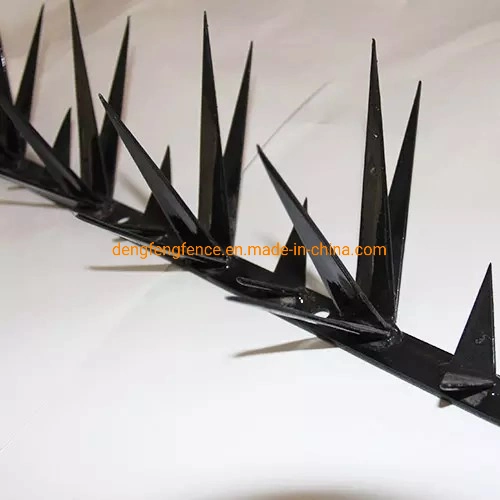 Big Wall Spike Security Anti-Climb Wall Spikes Shark Tooth