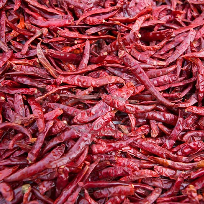 Los cultivos orgánicos secos picante Chili Super Hot en el extranjero de exportación