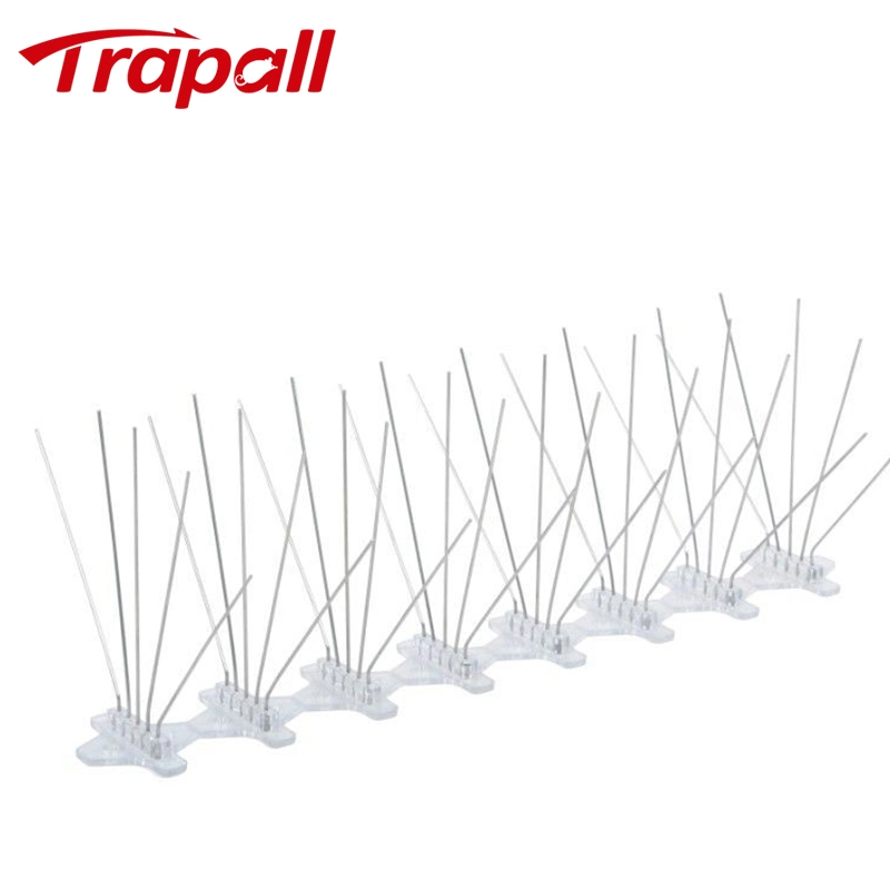 Flexible Stainless Steel Bird Spike Control Anti Bird and Pigeons Spikes