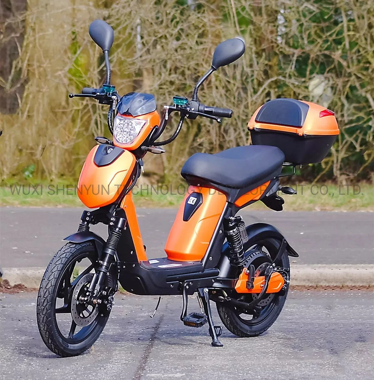 Meilleures ventes Vélo électrique de sport avec la plus longue portée de kilométrage mobilité Cycle moteur E du scooter CEE/COC ce