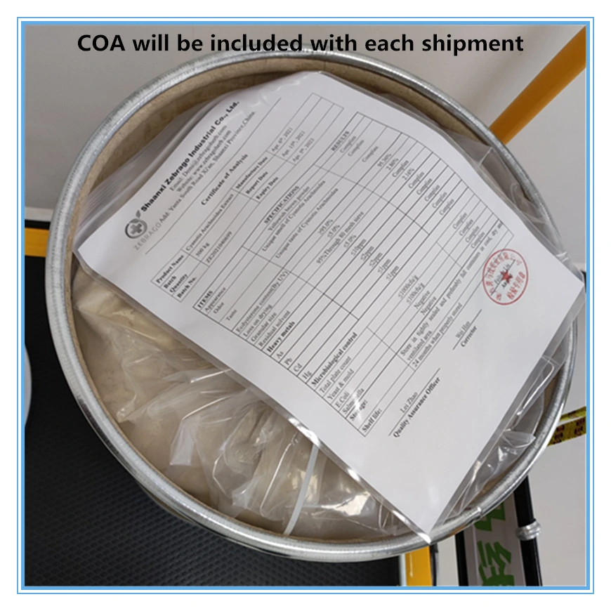 Munufacturer Supply High Purity of Synthetic Paclitaxe Powder /Docetaxel Powder