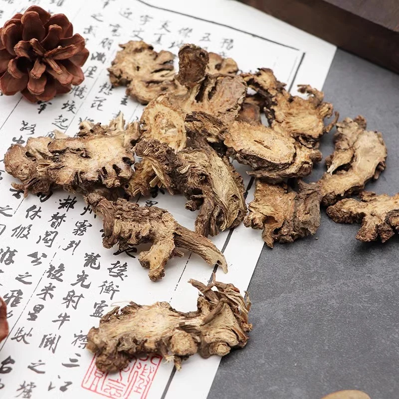 Chinese Herb Rhizoma Ligustici Natural Herbal Medicine Ligusticum Sinense Oliv Gao Ben