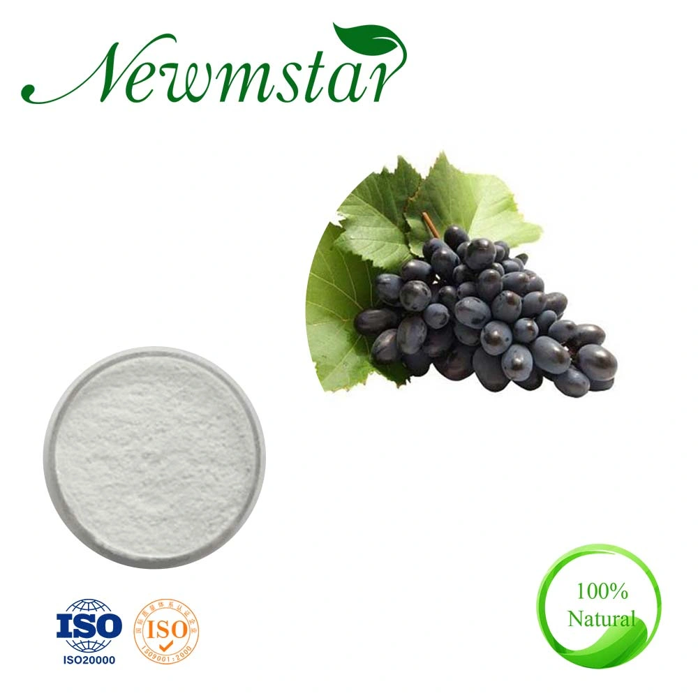 Plant Extract 90% Resveratrol Grape Peel Extract Grape Skin Extract