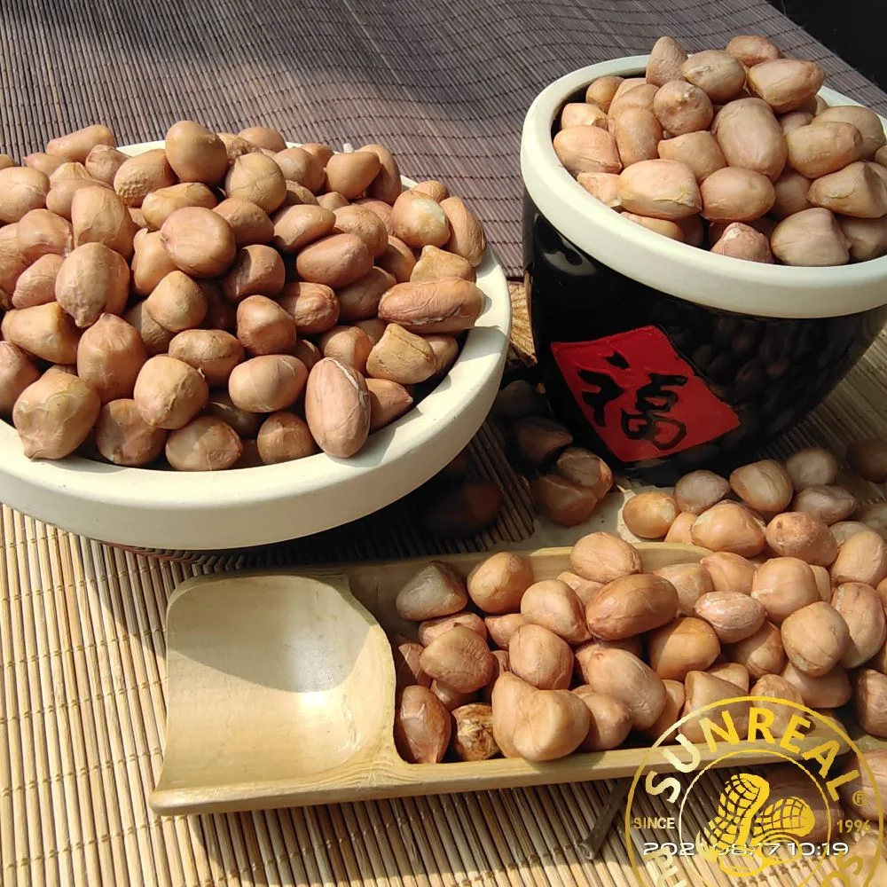 Raw Peanut Kernels 25/35 Hsuji Type Best Quality Gorgeous Packages