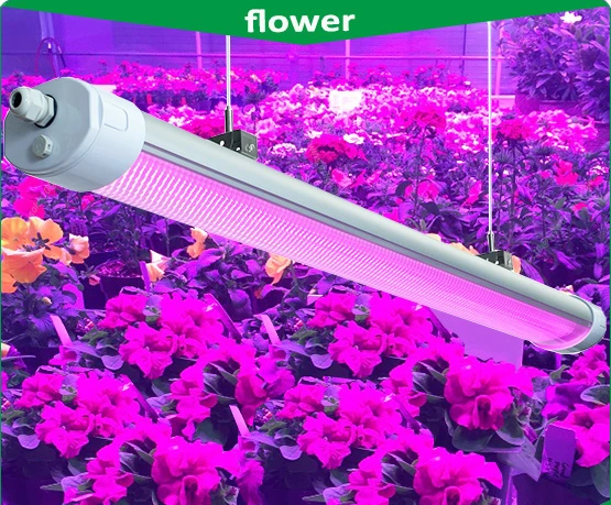 China Wholesale/Supplier Distributor 150W IP65 LED Grow Light, LED Tri Proof Light, LED Fluorescent Light, Mini Projector