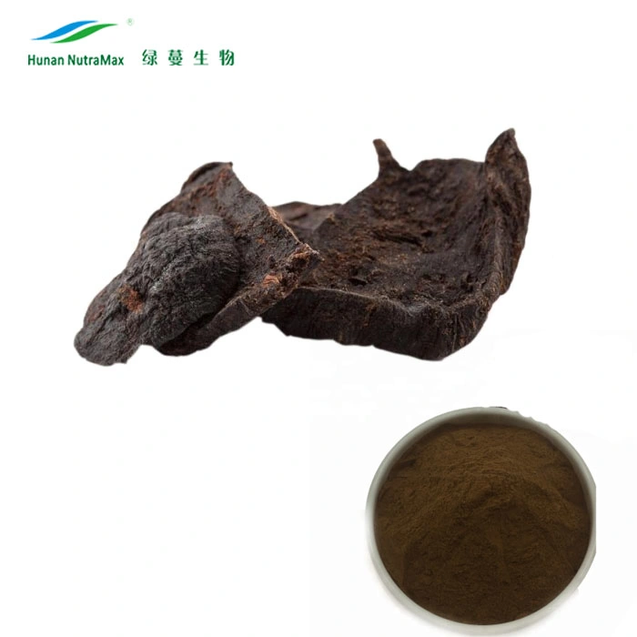 Top Quality Tuber Fleece Flower 4: 1~20: 1 Rehmannia Chinensis Root Extract Powder