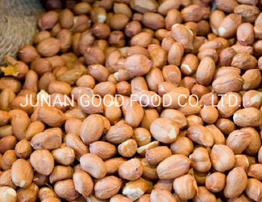 High quality/High cost performance Java Peanuts 80/90