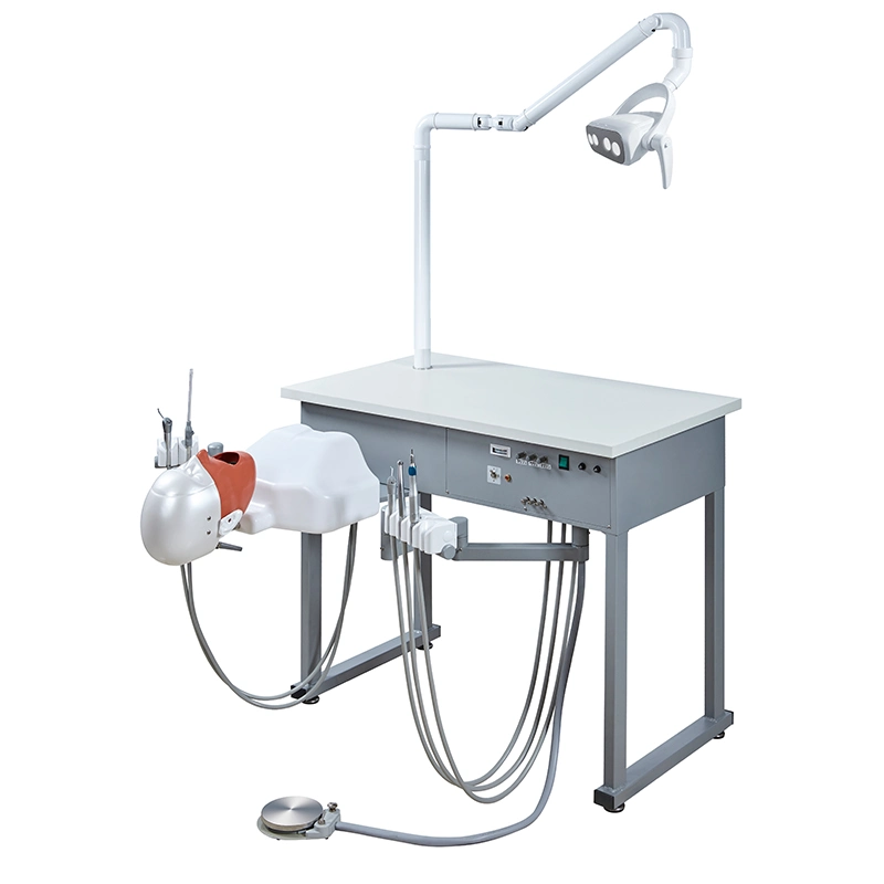 Dental Training System Unit Medical School Use Dental Phantom Head Simulator