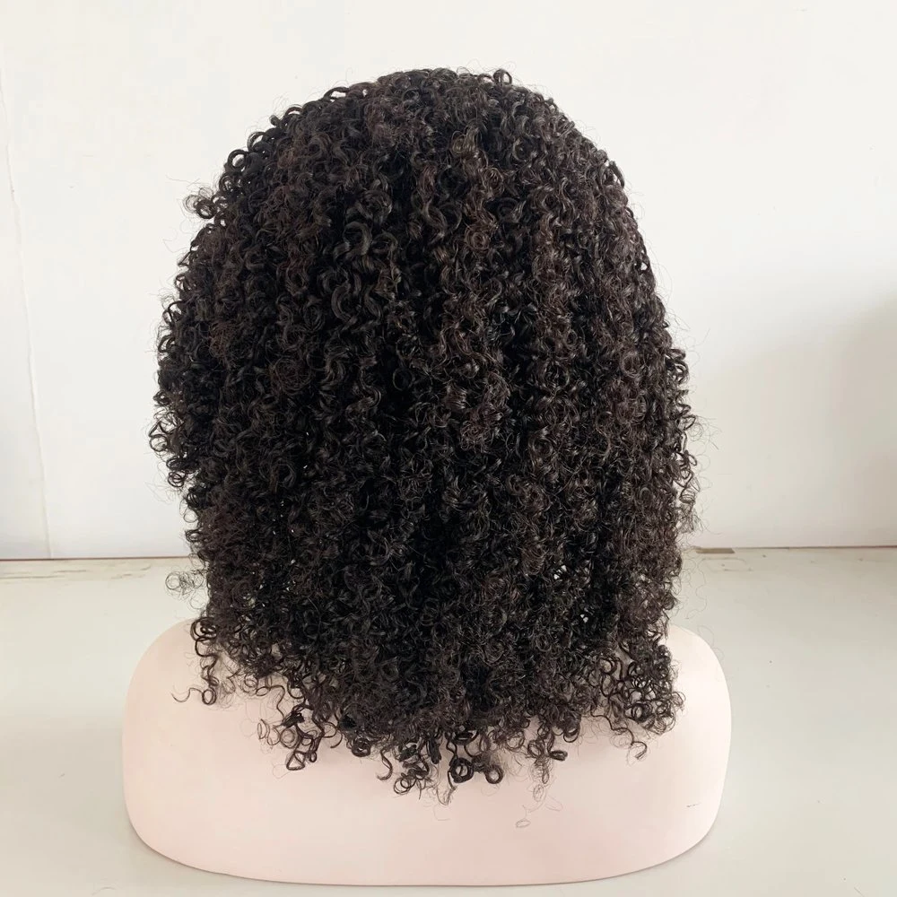 Wholesale/Supplier Quality Hot Sales Afro Curly Natural Huaman Hair Lace Front Wigs