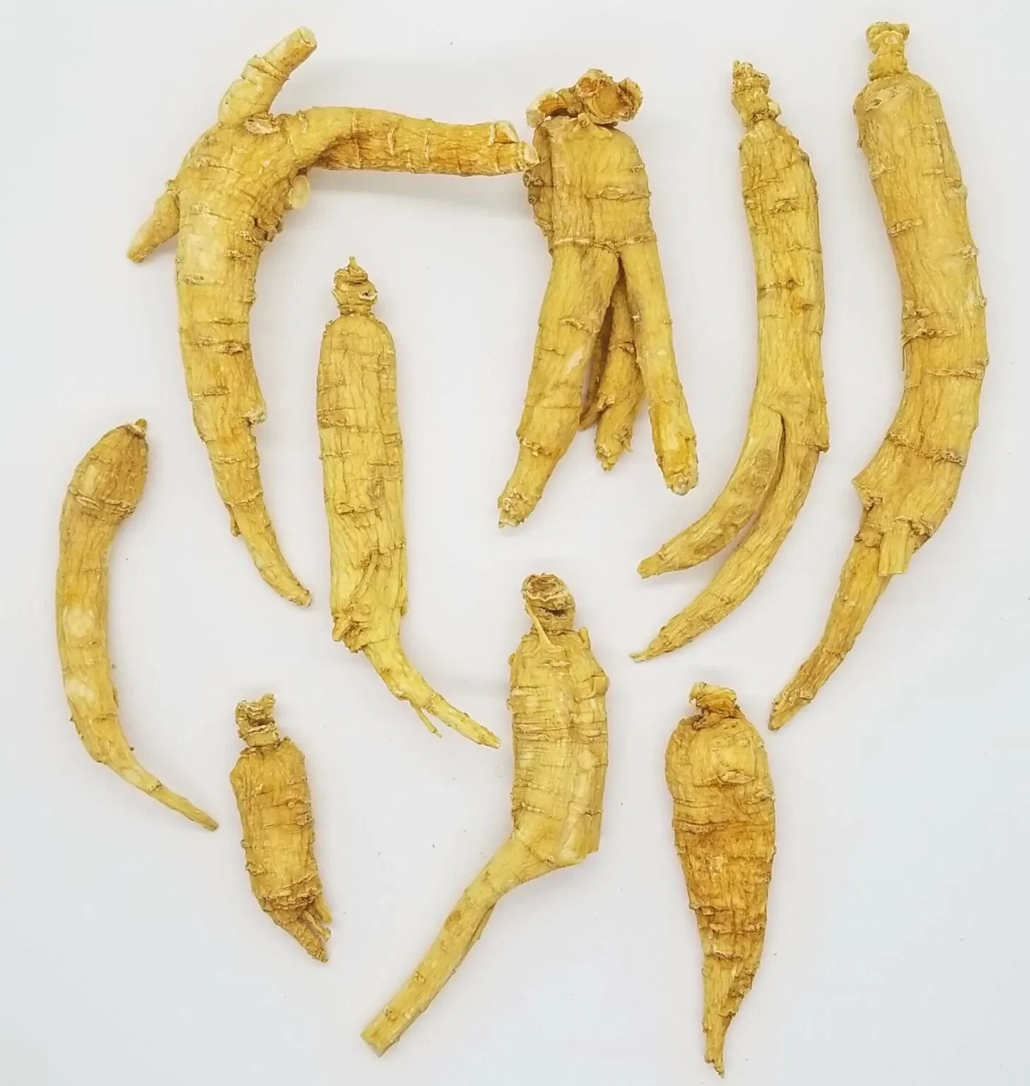 Herbway Ginseng Root Extract Powder Panax Ginseng C. a. Mey. 10%-80% Ginsenosides